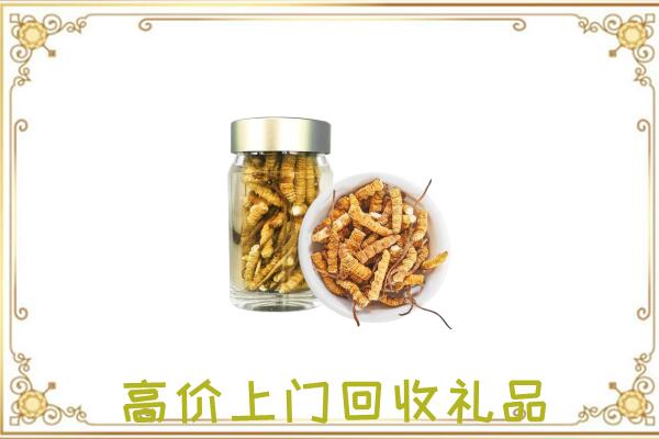 海口周边回收虫草